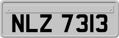 NLZ7313