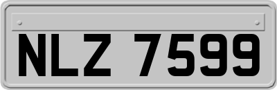 NLZ7599