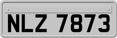 NLZ7873