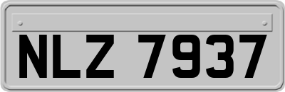 NLZ7937