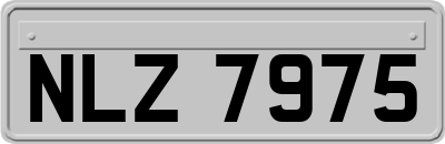 NLZ7975