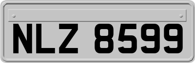 NLZ8599