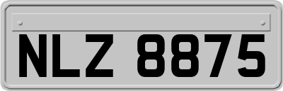 NLZ8875
