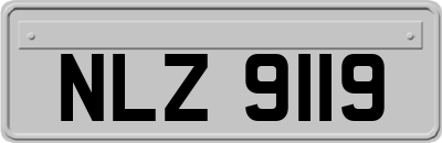NLZ9119