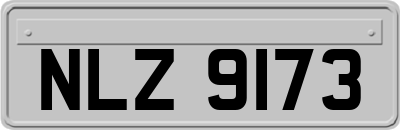 NLZ9173