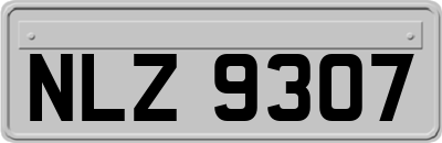 NLZ9307