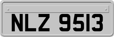 NLZ9513