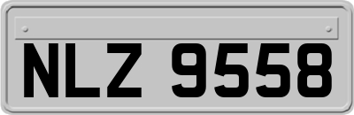 NLZ9558