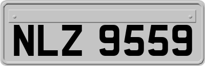 NLZ9559