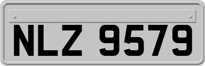 NLZ9579