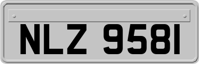 NLZ9581