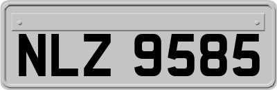 NLZ9585