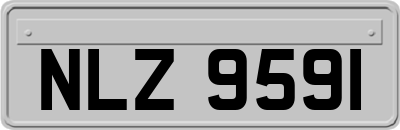 NLZ9591