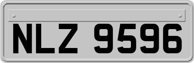 NLZ9596