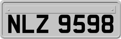 NLZ9598