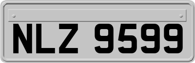 NLZ9599