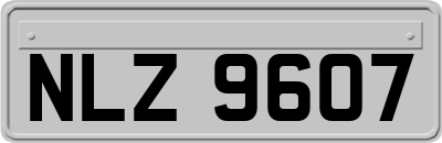 NLZ9607