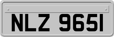 NLZ9651