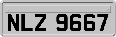 NLZ9667