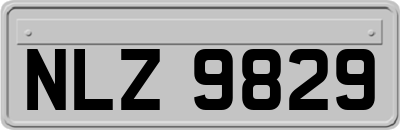 NLZ9829