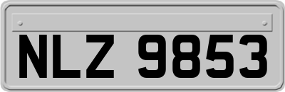 NLZ9853