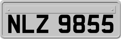 NLZ9855