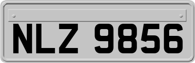 NLZ9856