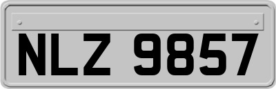 NLZ9857