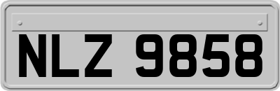 NLZ9858