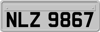 NLZ9867