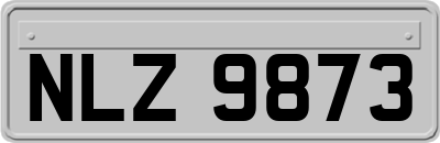 NLZ9873