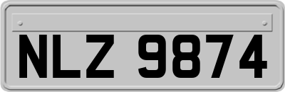 NLZ9874
