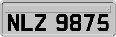 NLZ9875