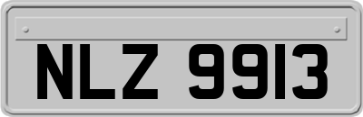 NLZ9913