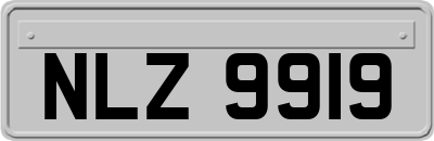 NLZ9919