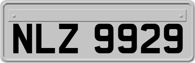 NLZ9929