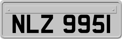 NLZ9951