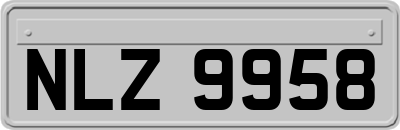 NLZ9958