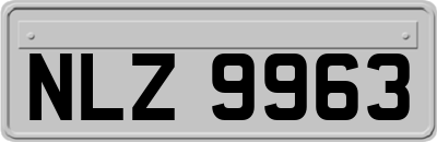 NLZ9963
