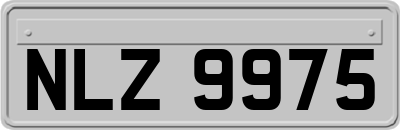 NLZ9975