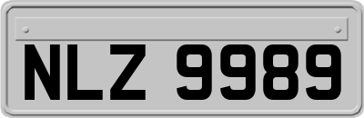 NLZ9989