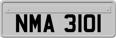 NMA3101