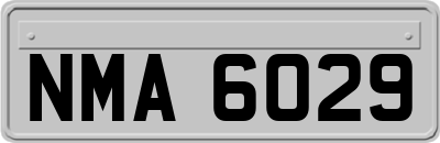 NMA6029