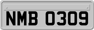 NMB0309