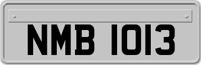 NMB1013