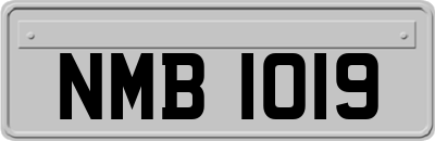 NMB1019