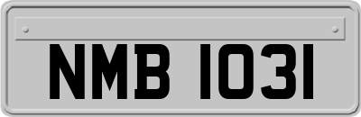 NMB1031