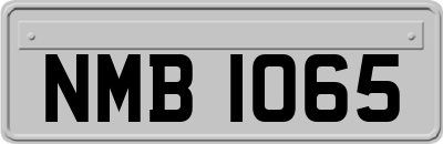 NMB1065