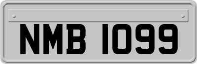 NMB1099