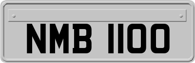 NMB1100